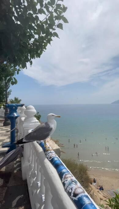 דירות בנידורם Apartamento Centrico Y En Primera Linea De Playa מראה חיצוני תמונה
