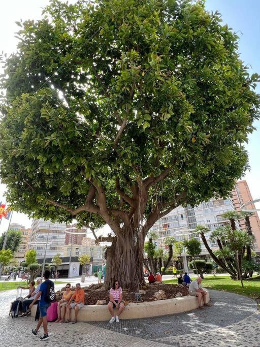דירות בנידורם Apartamento Centrico Y En Primera Linea De Playa מראה חיצוני תמונה
